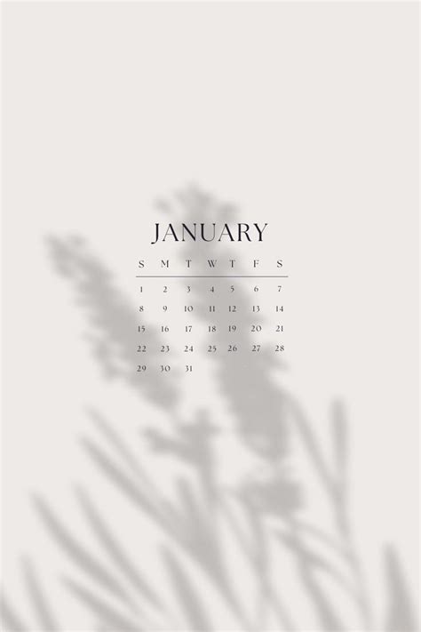 January Calendar 2023 January Calendar Calendar Background Study