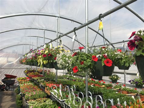 Everything you need from garden tools to containers, bag goods and ground covers! Bill's Garden Center | Bills Ace Hardware Osceola, WI