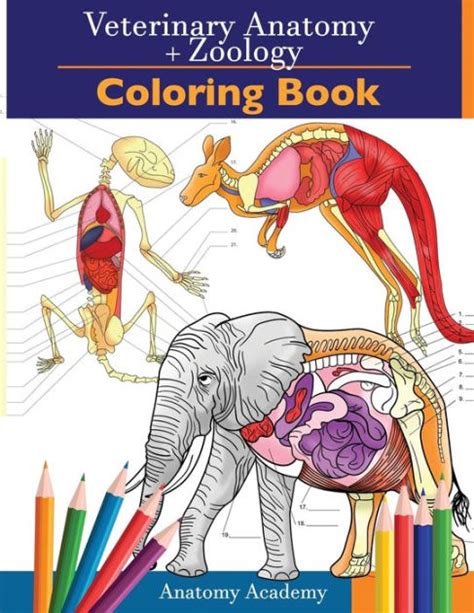 Veterinary And Zoology Coloring Book 2 In 1 Compilation Incredibly