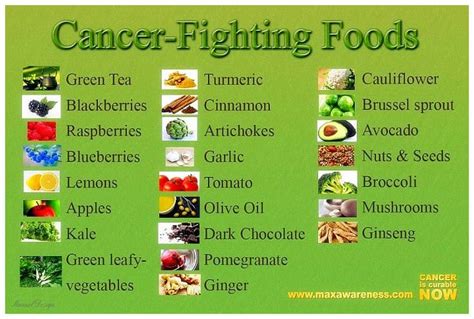 16 Cancer Facts Types Causes Diet Prevention And More
