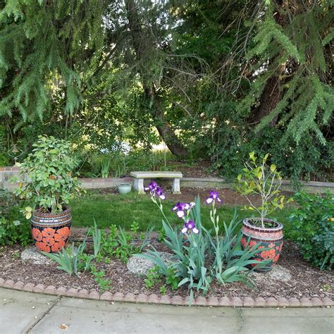A Section Of My Very Peaceful Country Garden Rgardening