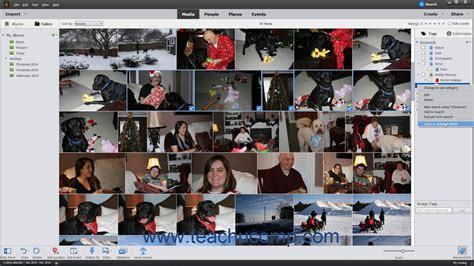 Photoshop Elements 2021 Tutorial Assigning And Managing Tags And Ratings