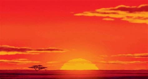Buy Discount Lion King Sunset Backdrop For Photography Starbackdrop
