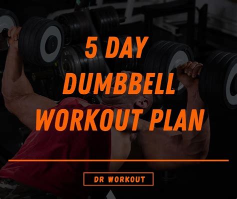 5 Day Dumbbell Workout Plan With Pdf Dr Workout