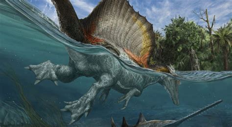 The First Truly Semiaquatic Dinosaur Spinosaurus Aegyptiacus