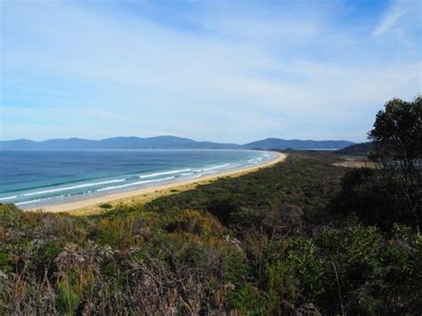 Cape Queen Elizabeth Bruny Island Updated 2021 All You Need To Know Before You Go With Photos