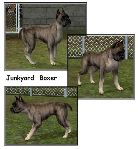 Mod The Sims 4 Junkyard Dogs