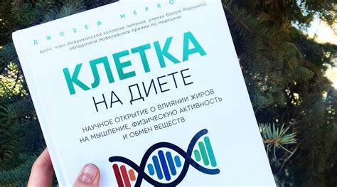 Кето диета меркола читать бесплатно Кето Диета Меркола — Похудение Диета Правильное Питание Кето Диета Меркола — Похудение Диета Правильное Питание Кето диета меркола читать бесплатно