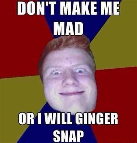 30 ginger memes that are way too witty