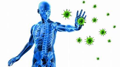 Corona Virus Immunity Immune Core System Boost