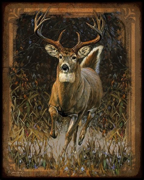 Whitetail Deer Painting By Jq Licensing