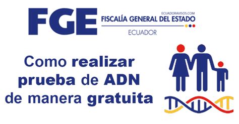 Prueba De Adn Gratis En Ecuador Guia Para Aplicar