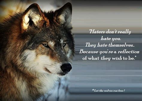 Wolf This Is A Good Saying Wolf Qoutes Wolf Pack Quotes Lone