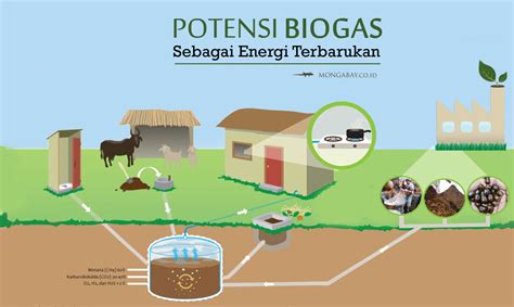 As a provider of biogas plants, we understand biogas technology in its entirety: Ayo! Tancap Gas Kembangkan Biogas : Mongabay.co.id