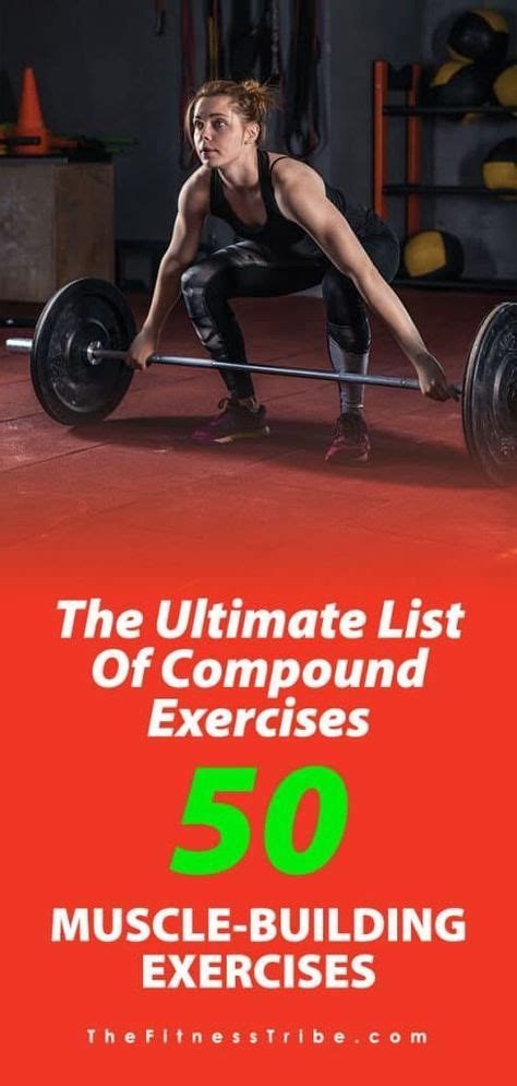 The Ultimate List Of Compound Exercises 50 Muscle Building Exercises