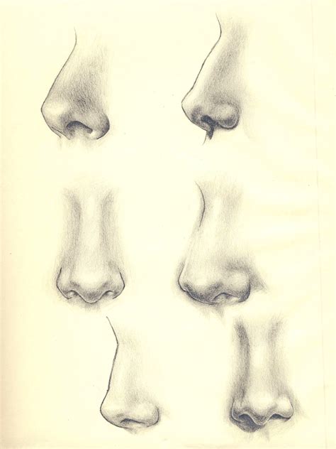 My Sketches Of Noses Pencil On Paper Nose Drawing Illusion Drawings