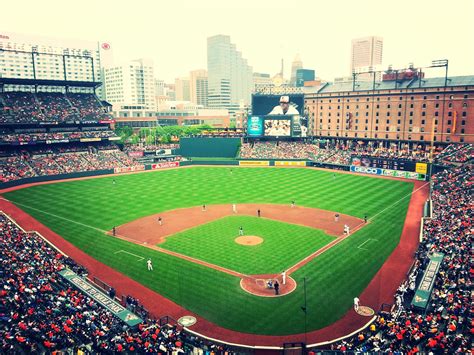 Great shot of The Yard! Baltimore Orioles Baseball, Chicago Cubs