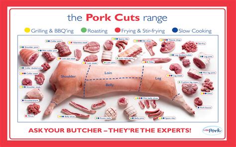 The Pork Cuts Range Infographic Chart 18x28 45cm70cm Canvas Print