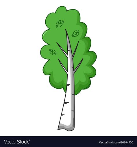 Birch Tree Icon Cartoon Style Royalty Free Vector Image