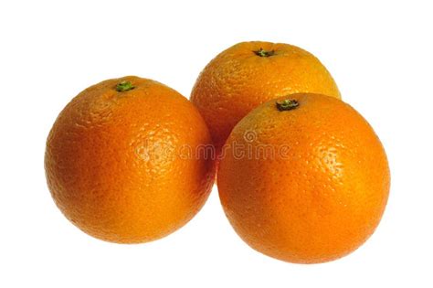 Oranges Image Stock Image Du Citron Branchement Blanc 12874681