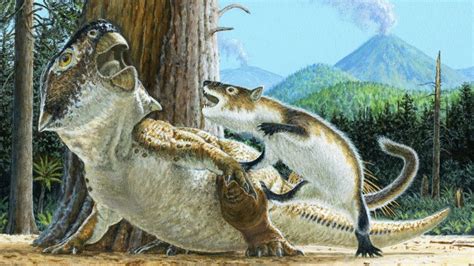 Fossil Reveals The Moment A Cat Size Mammal Took On A Dinosaur Three