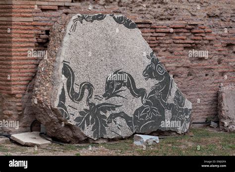 Mosaic In The Baths Of Caracalla Rome Italy Stock Photo Alamy