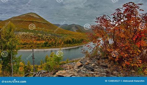 The Colours Of Autumn Are Cold Water Rivers Of Magadan Stock Image