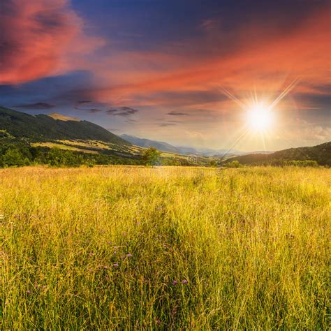 Meadow With High Grass In Mountains At Sunset Stock Photo Image 49520090