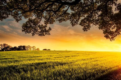 Free Image on Pixabay - Sunset, Dusk, Meadow, Field, Farm | Landscape ...