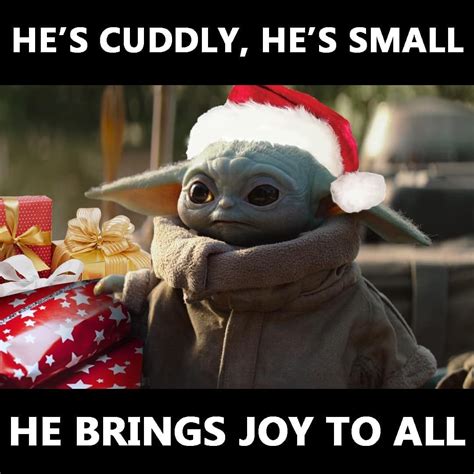🌻 S H I V I 🌻 K I W I 🌻 Notitle Yoda Funny Star Wars Humor