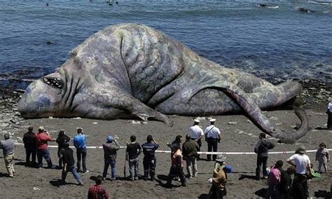 Top 124 It Is The Largest Animal