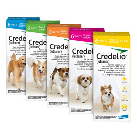 Affordable pet vet clinic tracy, ca 95376. Onsite Pharmacy | All Pets Vet Hospital