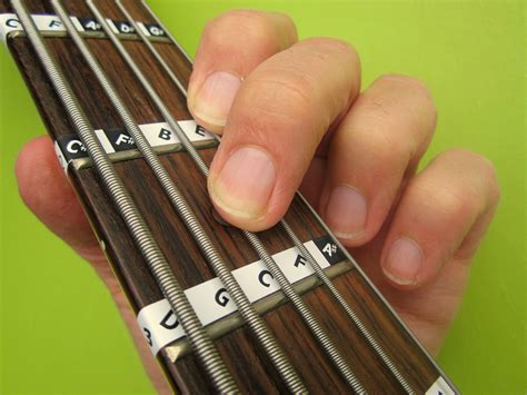 5 String Bass Guitar Fretboard Note Labels Learn Fret Stickers Online