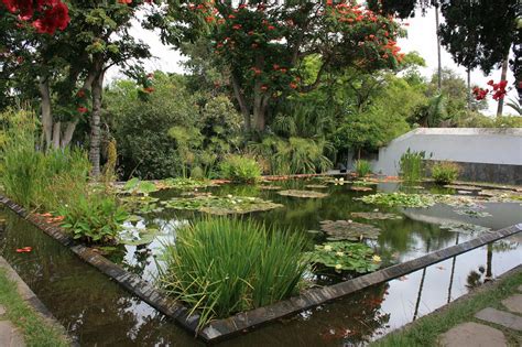 Jardín de aclimatación de la orotava. bilder-galerie/Reisen/Teneriffa 2007/Botanischer Garten ...