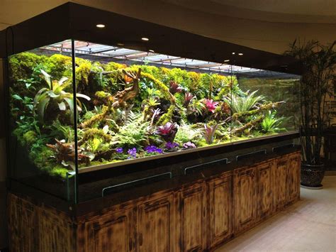 Aquascape Aquarium Landscape Vivarium