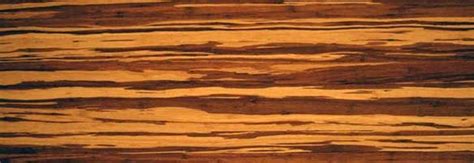 African Tiger Wood Flooring Harrison Gallivan