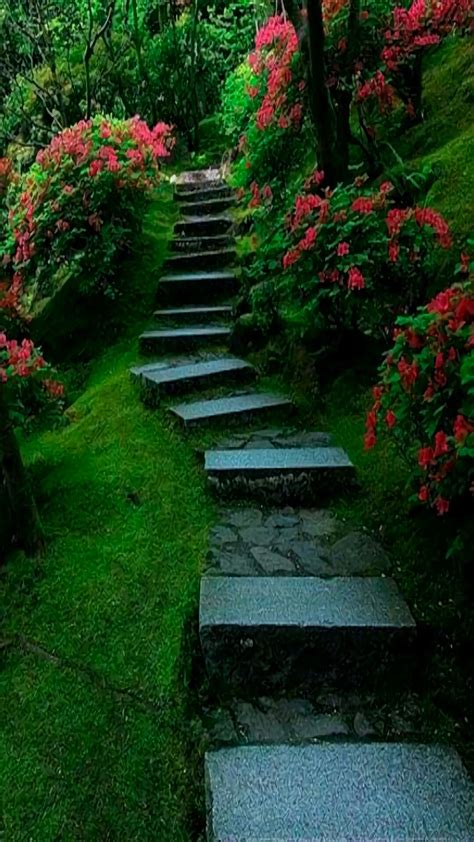Here at freedom path realty management, we are providing the ideal rental agreements and services for our tenants. Change your direction Walk a new path To the Real You ...