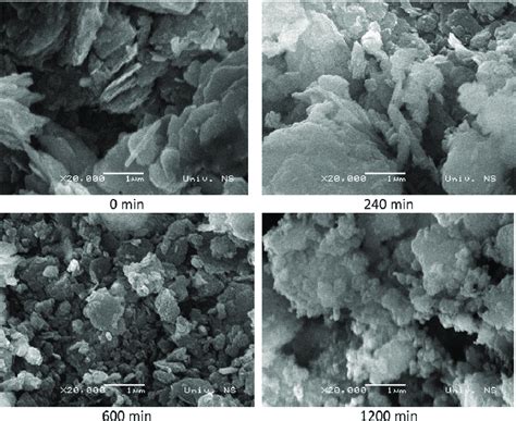 Sem Images Of Starting Kaolin Clay And Clay Milled For 240 600 And