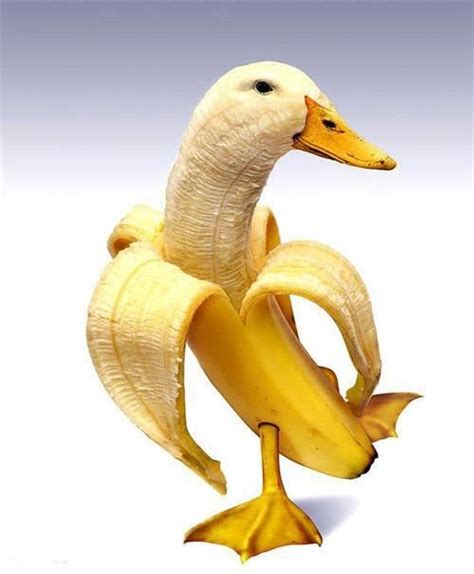 Banana Duck Dafuq Know Your Meme