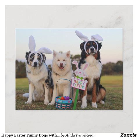 Happy Easter Funny Dogs With Rabbit Ears Egg Hunt Postcard Zazzle