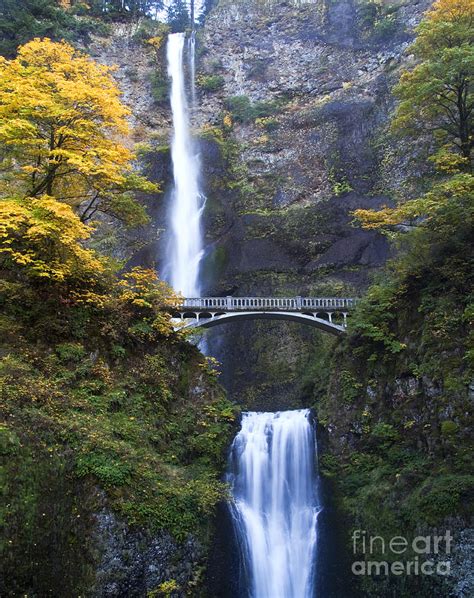 Waterfall And Bridge In Autumn Photograph By David Buffington