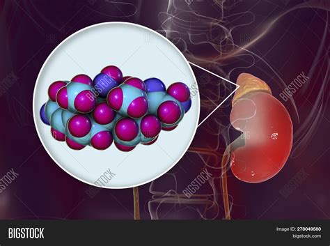 Molecule Cortisol Image & Photo (Free Trial) | Bigstock