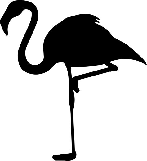 Flamingo Svg Het Silhouet Van De Kunst Dieren Tekenen Silhouet