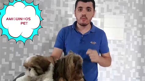 Dicas Para Seu Cãozinho Não Comer Seu Cocozinnho Youtube