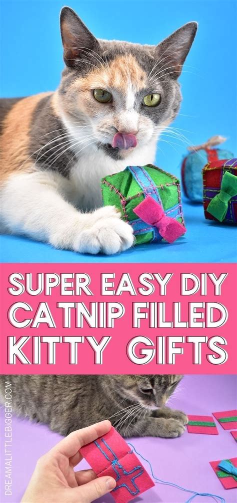 Cats Diy Projects Animal Projects Diy Catnip Toys Christmas Cat Toy