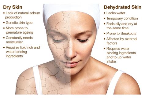 Dry Skin Or Dehydrated Skin Whats The Difference Halea