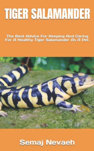 TIGER SALAMANDER The Best Advice For Keeping And Caring For A Healthy
