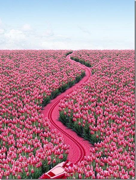 Pink Path ♥ Stylefruits Inspiration ♥ In 2020 Pretty In Pink