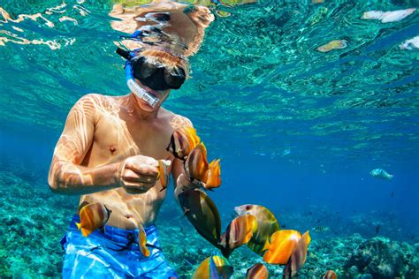 Snorkel Em Nusa Penida E Nusa Lembongan Saindo De Bali