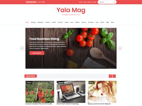 Yala Mag Magazine News Website WordPress Theme DesignHooks